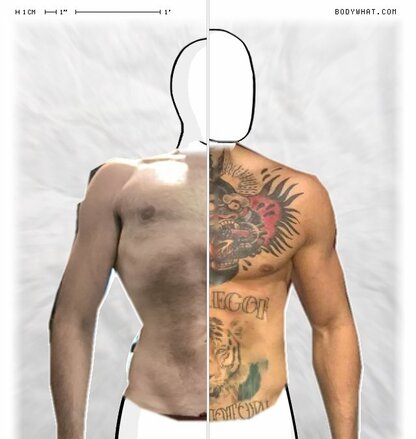 Torso Comparison