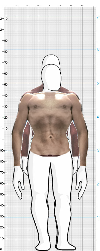 Full Size Comparison