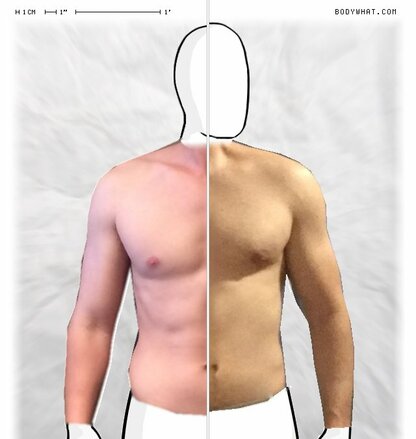 Torso Comparison