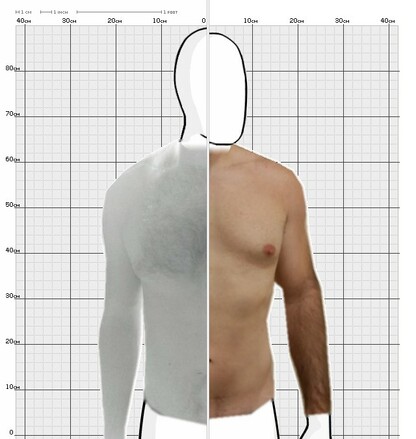 Torso Comparison