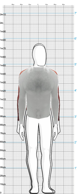 Full Size Comparison