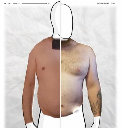 Torso Comparison