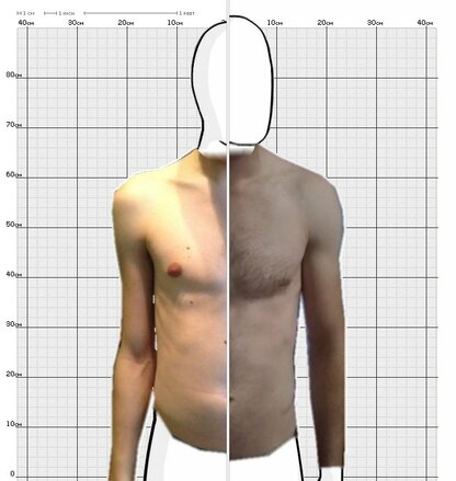 Torso Comparison