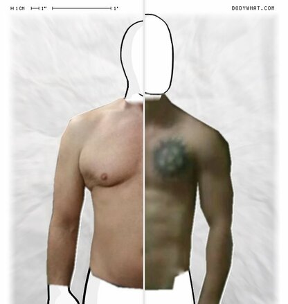 Torso Comparison