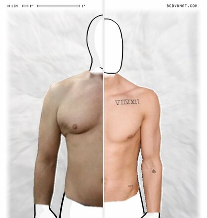 Torso Comparison