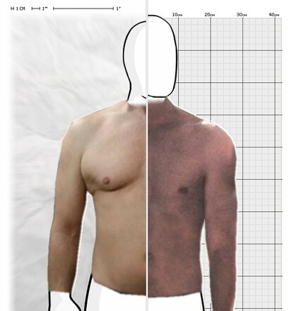 Torso Comparison