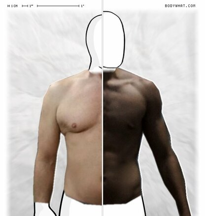 Torso Comparison