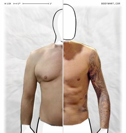 Torso Comparison