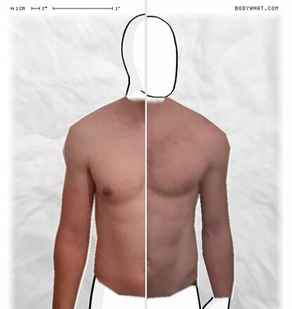 Torso Comparison