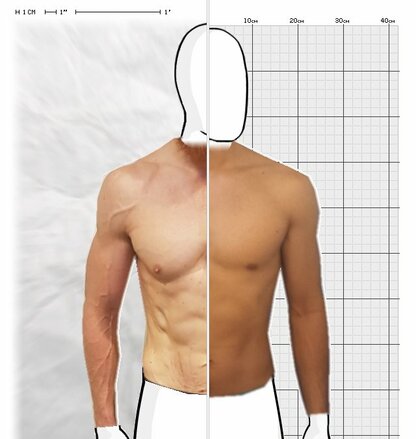 Torso Comparison