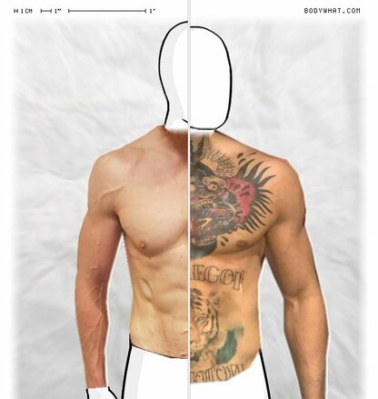 Torso Comparison