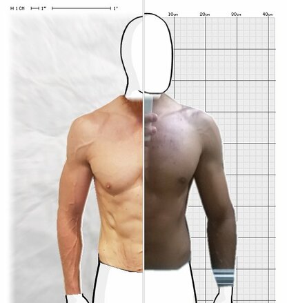 Torso Comparison