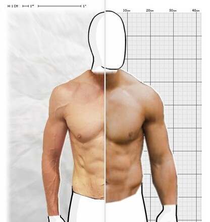 Torso Comparison