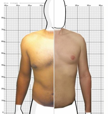 Torso Comparison