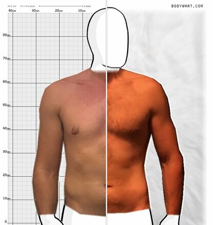 Torso Comparison