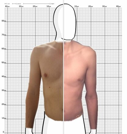 Torso Comparison