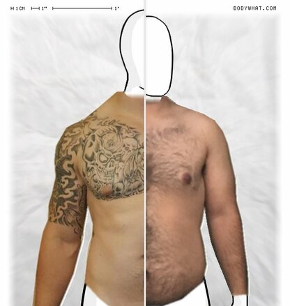 Torso Comparison