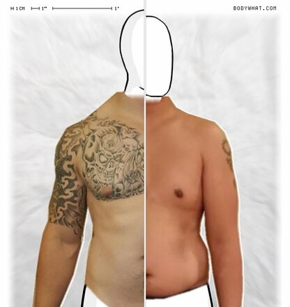 Torso Comparison