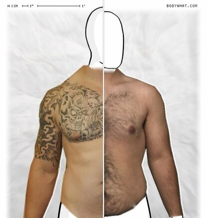 Torso Comparison