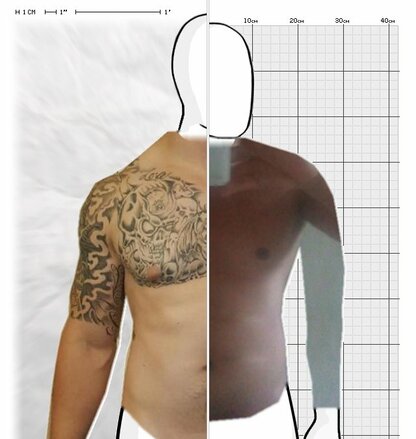 Torso Comparison