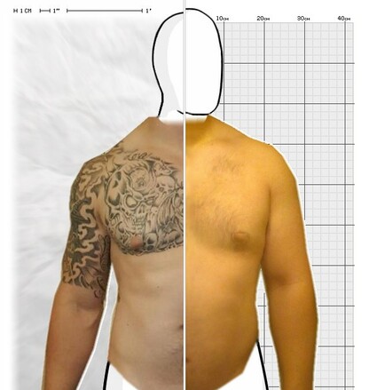 Torso Comparison