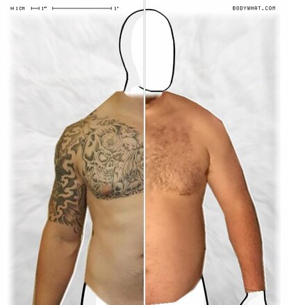 Torso Comparison