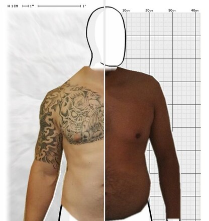 Torso Comparison