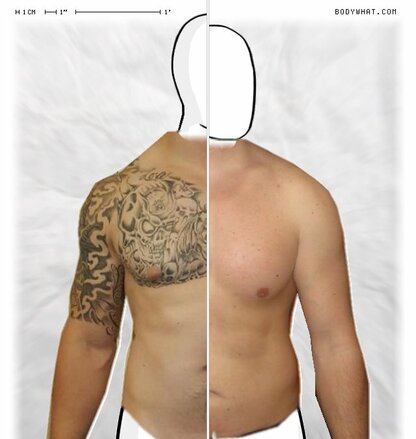 Torso Comparison