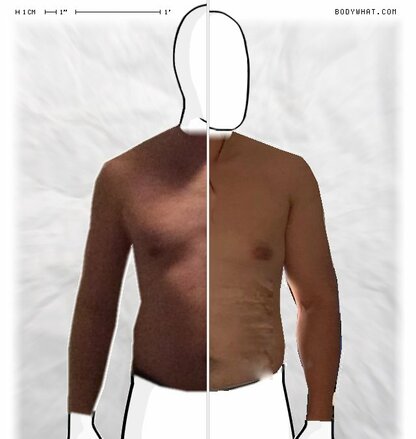 Torso Comparison