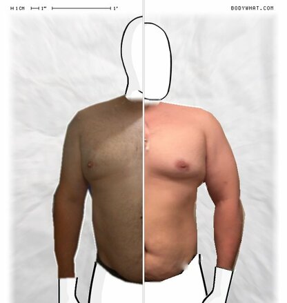 Torso Comparison