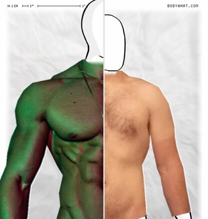 Torso Comparison