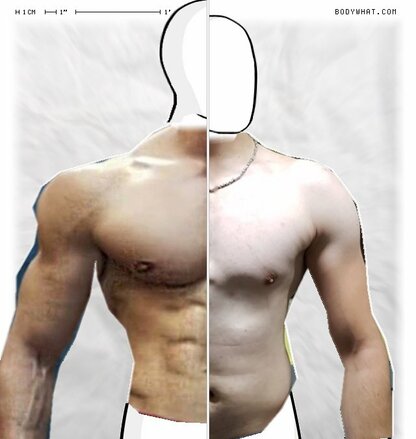 Torso Comparison