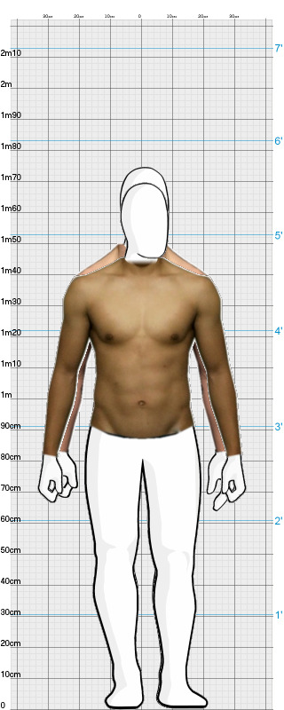 Full Size Comparison