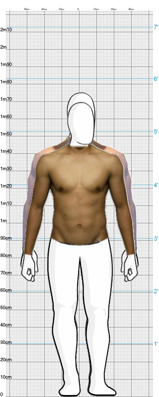 Full Size Comparison