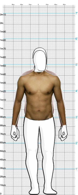 Full Size Comparison