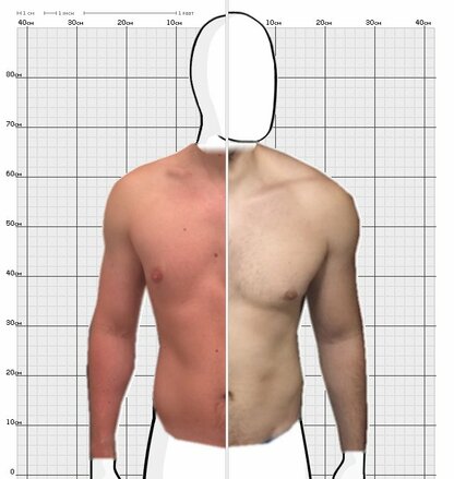 Torso Comparison