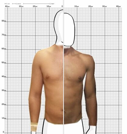 Torso Comparison