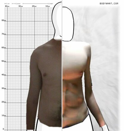 Torso Comparison