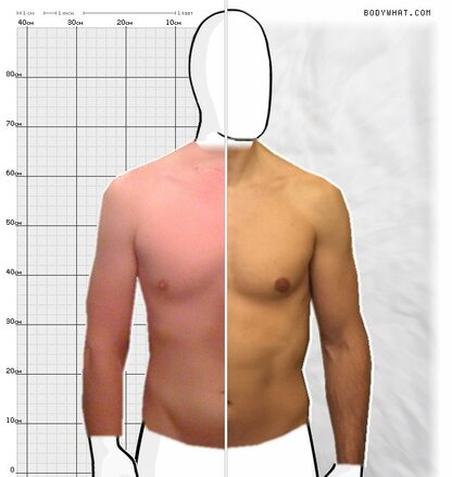 Torso Comparison