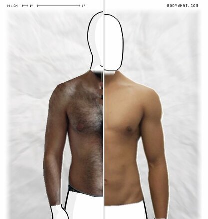 Torso Comparison