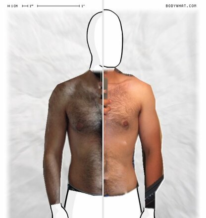 Torso Comparison