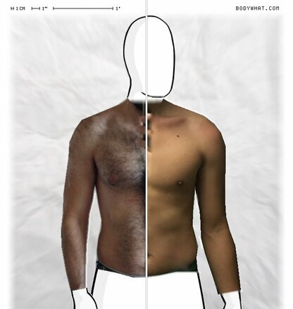 Torso Comparison