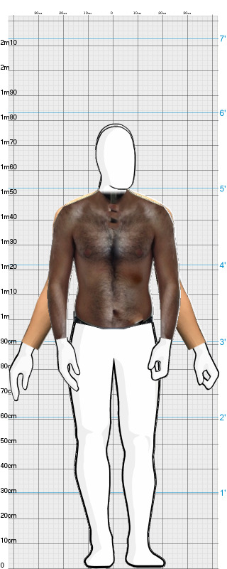 Full Size Comparison