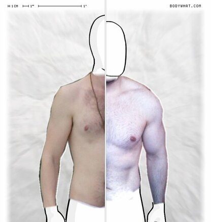 Torso Comparison