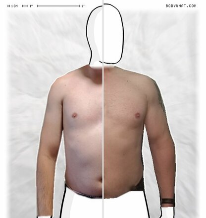 Torso Comparison