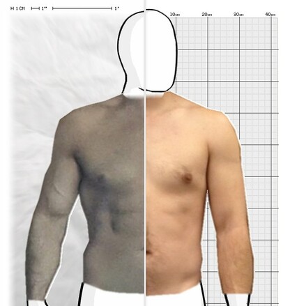 Torso Comparison