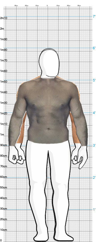 Full Size Comparison