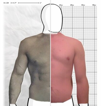 Torso Comparison