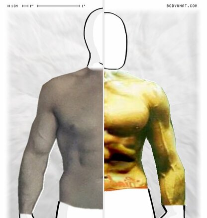 Torso Comparison