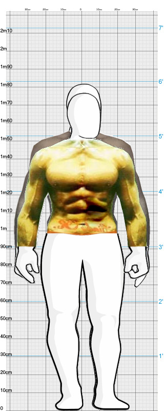 Full Size Comparison